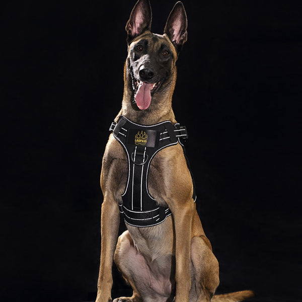 2TACTIC TACTICAL DOG HARNESS