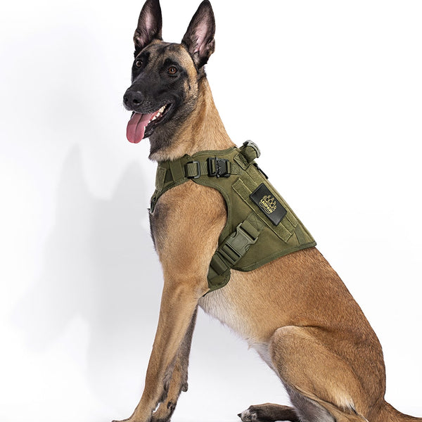 2TACTIC TACTICAL DOG HARNESS
