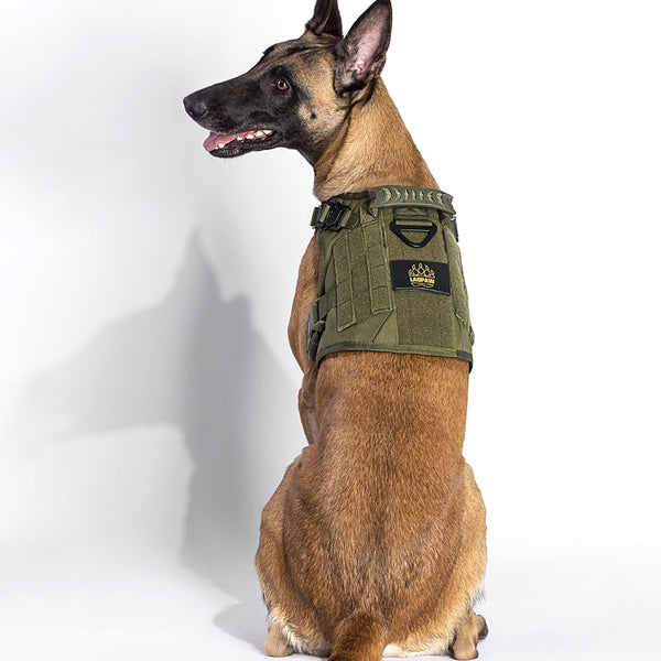 2TACTIC TACTICAL DOG HARNESS