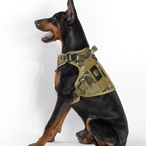 2TACTIC TACTICAL DOG HARNESS