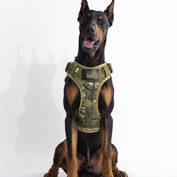 2TACTIC TACTICAL DOG HARNESS
