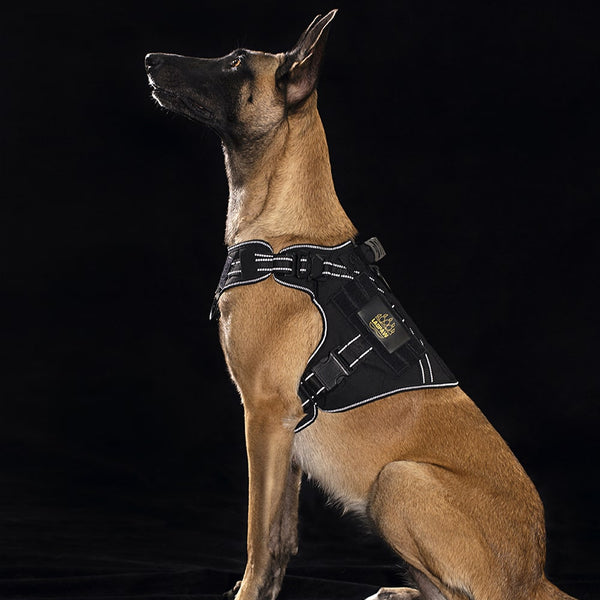 2TACTIC TACTICAL DOG HARNESS