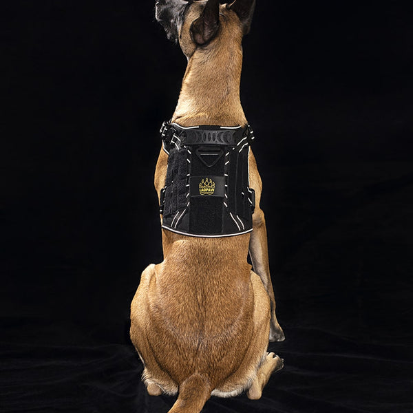 2TACTIC TACTICAL DOG HARNESS