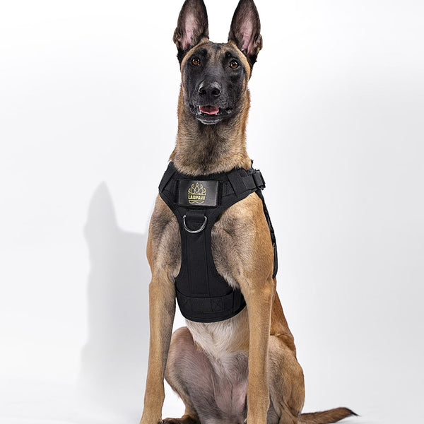 2TACTIC TACTICAL DOG HARNESS