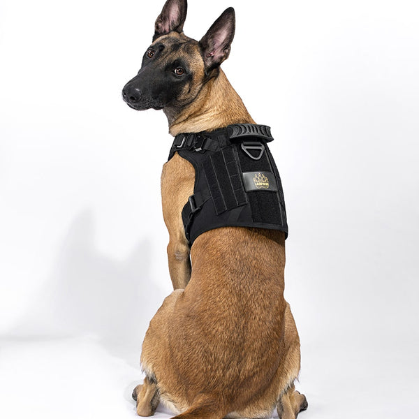 2TACTIC TACTICAL DOG HARNESS