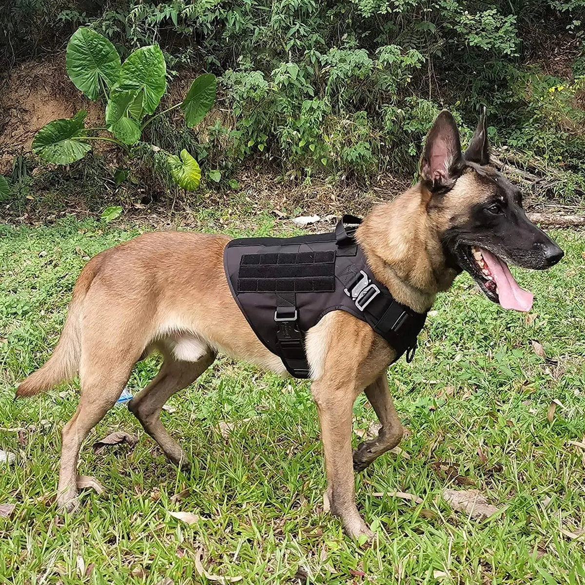 Tactical Dog Harness EDC4Life