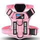 Pure Pink