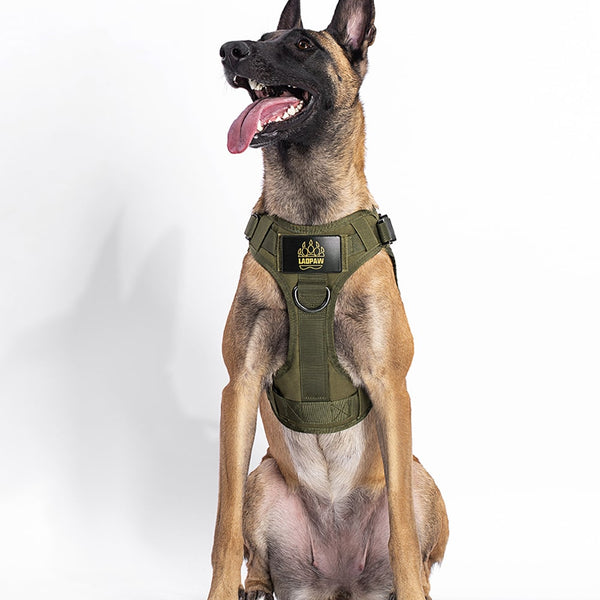 2TACTIC TACTICAL DOG HARNESS